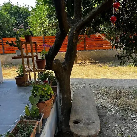 Citrus Ferienhaus Ortaca (Mugla)