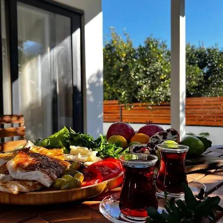 Ferienhaus Citrus Ortaca (Mugla)