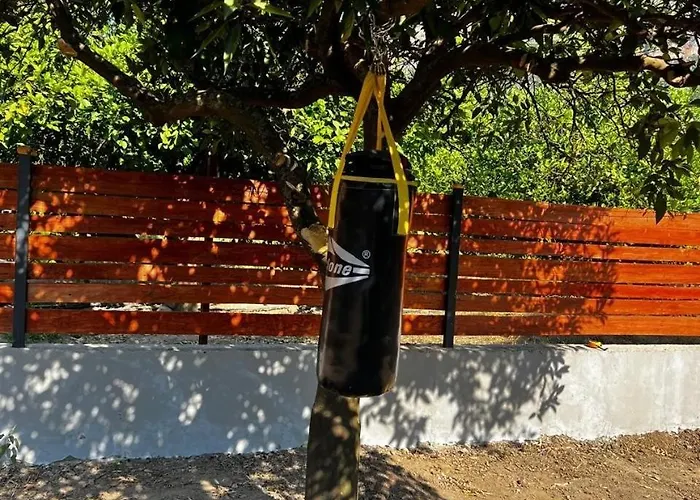 Citrus * Ortaca (Mugla)