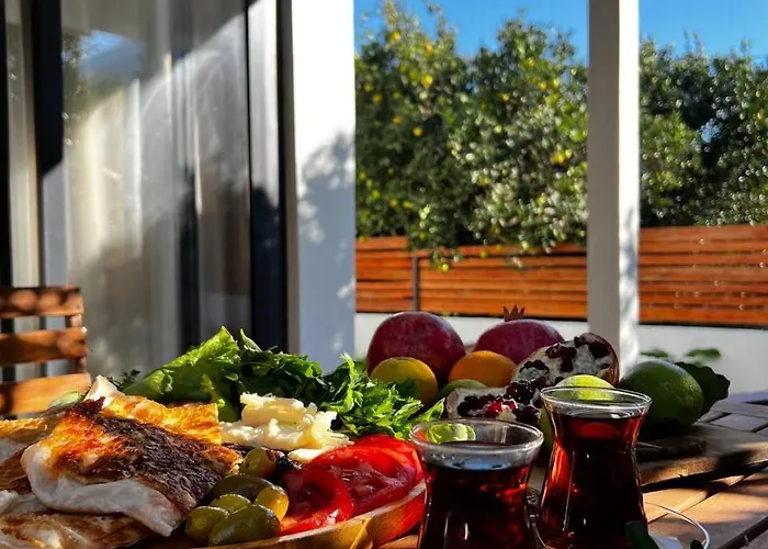 Semesterbostad Citrus Ortaca (Mugla)